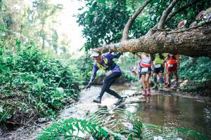 BIB: 
                            <button type="button" onclick="openModal(25459739)" class="btn btn-primary btn-sm float-right btn-popup" data-toggle="modal" data-target=".modal-high-quality">
                        <i class="fas fa-shopping-cart"></i> Add to Cart
                    </button>
                                            <button type="button" onclick="isThisMe(25459739, true)" class="btn btn-success btn-sm float-right btn-popup btn-isme hidden" data-toggle="tooltip" data-placement="bottom" title="นี่คือรูปของคุณใช่ไหม คลิกที่นี่เพื่อเอาเข้าอัลบั้ม">
                        <i class="fas fa-plus"></i> Add to album
                    </button>
                    <button type="button" onclick="isThisMe(25459739, false)" class="btn btn-warning btn-sm float-right btn-popup btn-isnotme hidden">
                        <i class="fas fa-ban"></i> Remove from album
                    </button>